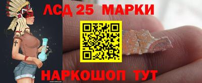 стаф Брянск