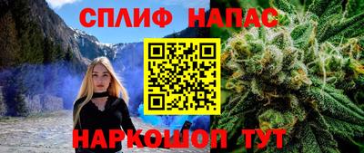 стаф Брянск