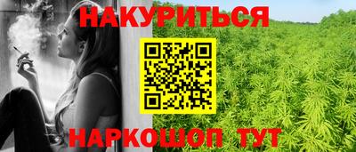стаф Брянск