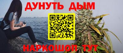стаф Брянск